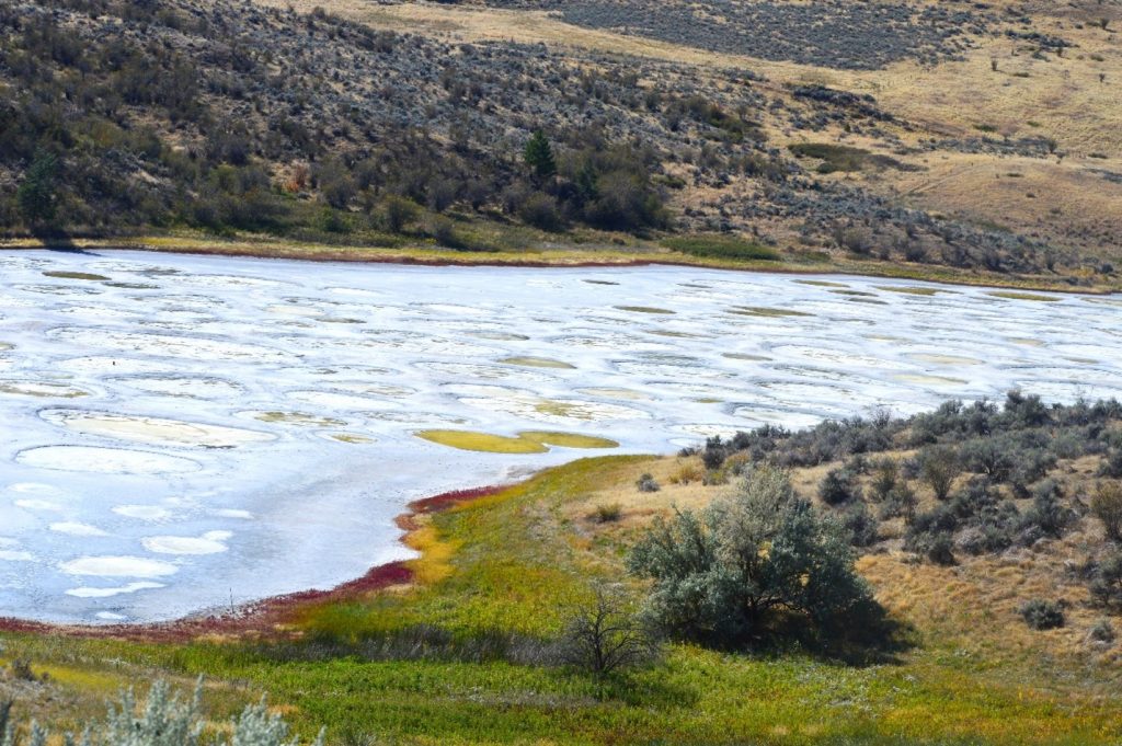 A shallow, mineral-rich lake with circular white patches on its surface, surrounded by dry grassland and sparse vegetation.