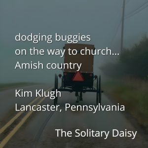 A horse-drawn Amish buggy travels on a foggy road in Lancaster, Pennsylvania, capturing the sense of place and tradition in Amish country and church travel.