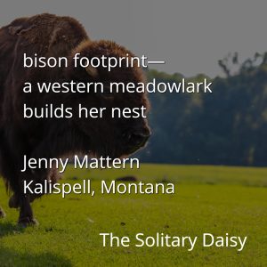 A bison stands on grass with a poem overlay about a western meadowlark nesting in a bison footprint, capturing a true sense of place. Poem credited to Jenny Mattern of Kalispell, Montana.