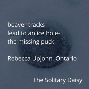 A dark ice hole on a snowy surface evokes a strong sense of place with this poem: "beaver tracks lead to an ice hole- the missing puck, Rebecca Upjohn, Ontario, The Solitary Daisy.