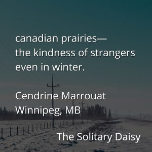 Snowy rural road with power lines and a fence, text overlayed with a short poem about the kindness of strangers in the Canadian prairies during winter, capturing a strong sense of place.