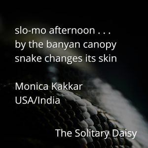 Close-up of a snake’s scaly skin with overlay text featuring a haiku about a snake shedding its skin beneath a banyan tree, evoking a strong sense of place. Haiku by Monica Kakkar, from The Solitary Daisy.