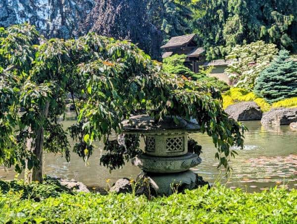 A pond in Kasugai Gardens, Kelowna with a stone lantern and trees.