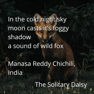 A wild fox stands in tall grass at night, partly illuminated, with a poem about the moon and the fox overlaid on the image.
