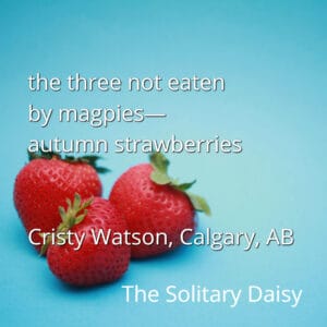 Three strawberries rest on a blue surface with a haiku and author’s name overlaid in white text.