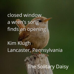A small brown wren perched on a branch with a haiku and text overlay about a closed window and a wren’s song, crediting Kim Klugh from Lancaster, Pennsylvania.