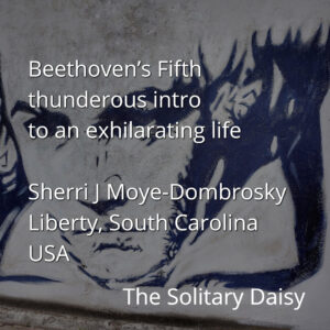 Text over a monochrome wall mural of a person's face reads: "Beethoven’s Fifth thunderous intro... Sherri J Moye-Dombrosky Liberty, South Carolina USA. The Solitary Daisy.