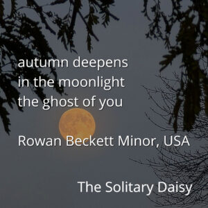 A full moon is framed by tree branches against a dusky sky with a haiku overlaid in white text by Rowan Beckett Minor, USA, from The Solitary Daisy.