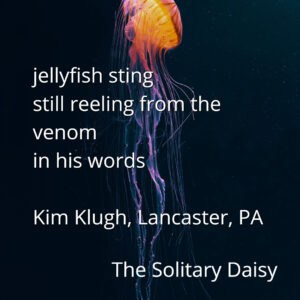 A jellyfish swims upward in dark water; overlaid text features a poem by Kim Klugh from Lancaster, PA, published in The Solitary Daisy.