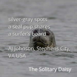 A seal pup with silver-gray spots emerges from the water, with text overlay including a poem, location, and author name.