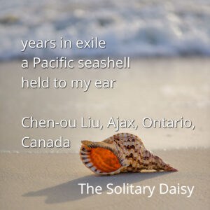 A seashell rests on wet sand near the shoreline, with a haiku and author credit overlaid on the image.