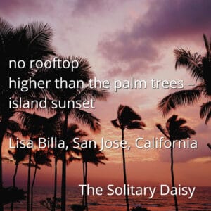 Silhouetted palm trees against a colorful island sunset sky, with text overlay featuring a haiku and author credits.