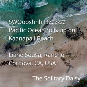 Aerial view of waves from the Pacific Ocean washing onto the sandy shore of Kaanapali Beach, with rocks visible along the water’s edge. Text overlays the image.