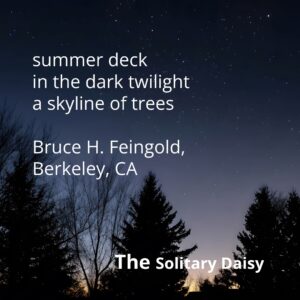 Silhouetted pine trees and a twilight sky filled with stars; poem text overlaid reads “summer deck in the dark twilight a skyline of trees” by Bruce H. Feingold.