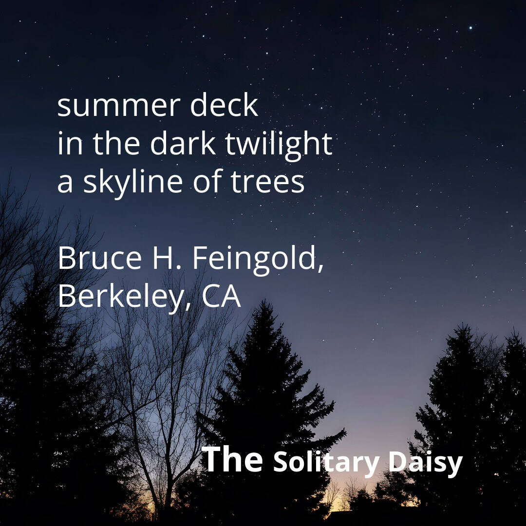 Silhouetted pine trees and a twilight sky filled with stars; poem text overlaid reads “summer deck in the dark twilight a skyline of trees” by Bruce H. Feingold.
