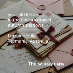 A stack of old, tied letters on a desk, surrounded by sealed envelopes. White text overlays the image with a short poem and the title “The Solitary Daisy”.