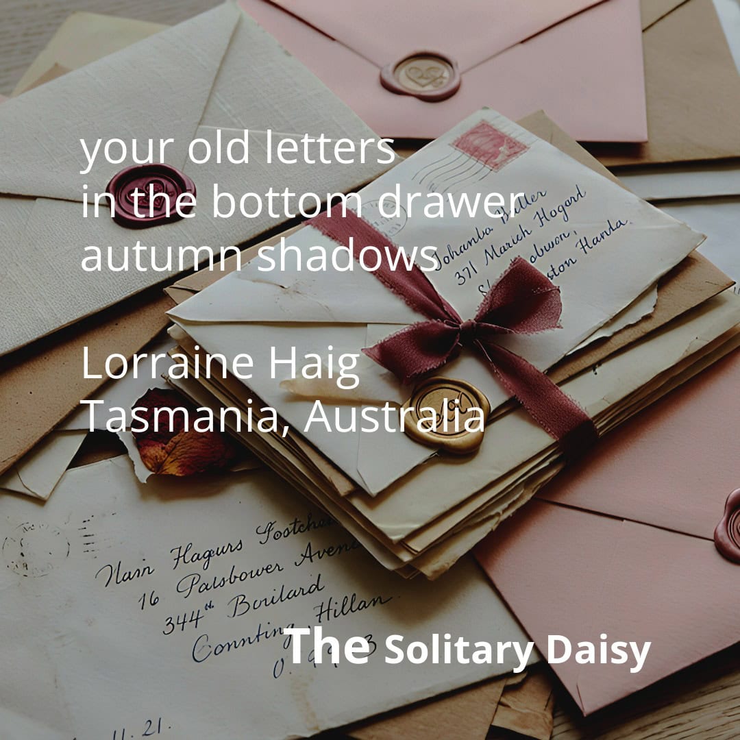 A stack of old, tied letters on a desk, surrounded by sealed envelopes. White text overlays the image with a short poem and the title “The Solitary Daisy”.