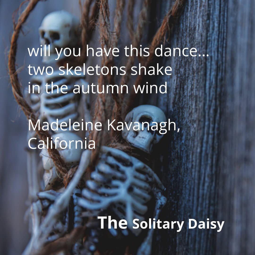 Two skeleton figures entwined in twine against a wooden background, overlaid with the text: “will you have this dance... two skeletons shake in the autumn wind. Madeleine Kavanagh, California. The Solitary Daisy.”