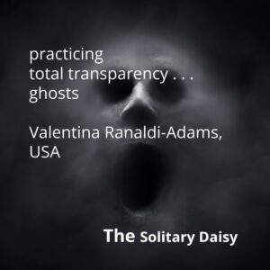 A ghostly, dark face emerges from shadow, overlaid with the text: “practicing total transparency . . . ghosts,” “Valentina Ranaldi-Adams, USA,” and “The Solitary Daisy.”