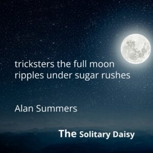 A full moon over a dark landscape with the text: “tricksters the full moon ripples under sugar rushes”, “Alan Summers”, and “The Solitary Daisy”.
