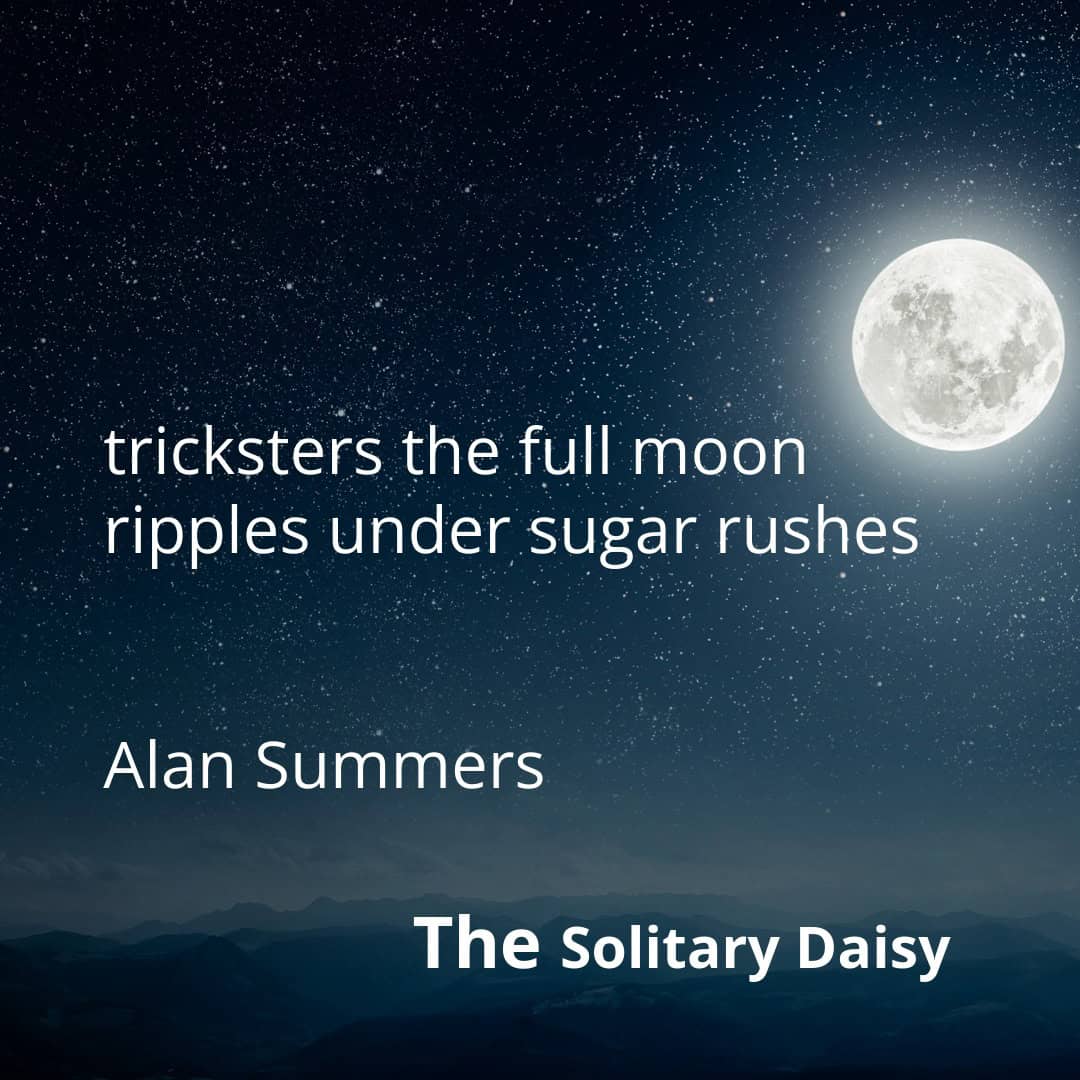 A full moon over a dark landscape with the text: “tricksters the full moon ripples under sugar rushes”, “Alan Summers”, and “The Solitary Daisy”.