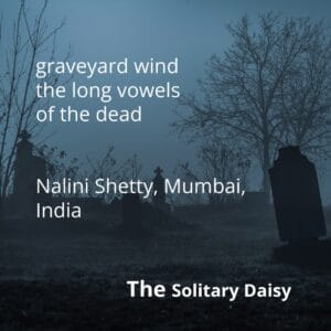 Text over a dark image of a graveyard reads: “graveyard wind the long vowels of the dead. Nalini Shetty, Mumbai, India. The Solitary Daisy.”