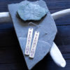 Rune Aettir Earrings - Freyja - Heimdall - Tyr