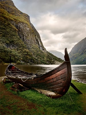 the viking age