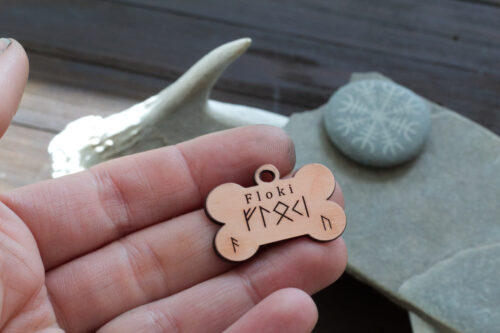 pet tag 1 pagan pet tag