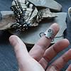 Magic Hands Ring - Seiðr