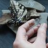 Magic Hands Ring - Seiðr
