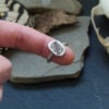loki ring urnes snakes