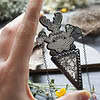 tourmalinated quartz cernunnos pendant