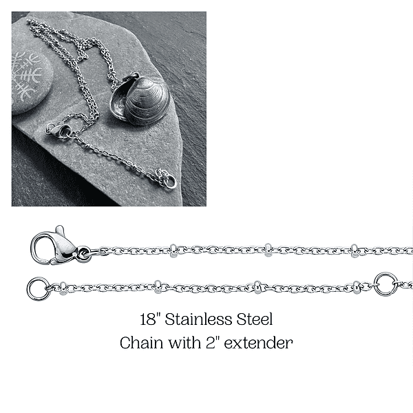18 Stainless Steel Chain with 2 extender Vegvisir & Labradorite Clamshell Locket