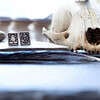 Vintage Halloween Earrings Sterling Silver