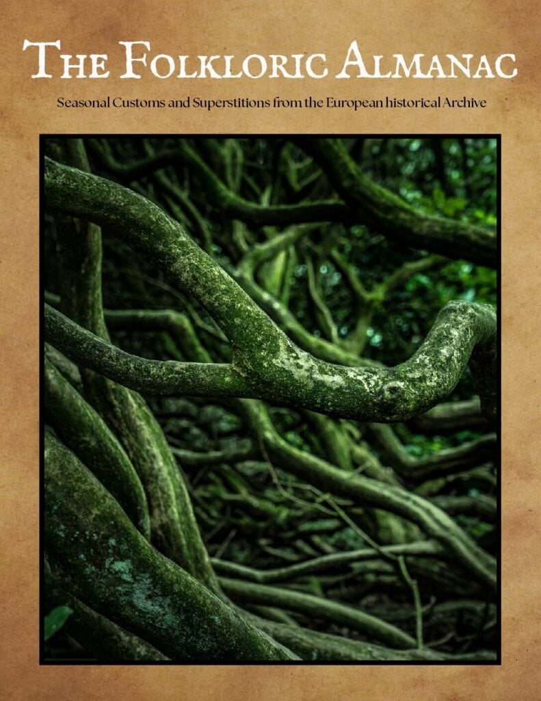 Cover of Mandrake: The Root with a Spirit