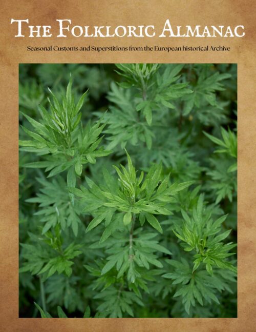 Folkloric Almanac November 2025: Mugwort: Herb of Memory (PDF) - Cover Folkloric Almanac November 2025: Mugwort: Herb of Memory (PDF) - Cover