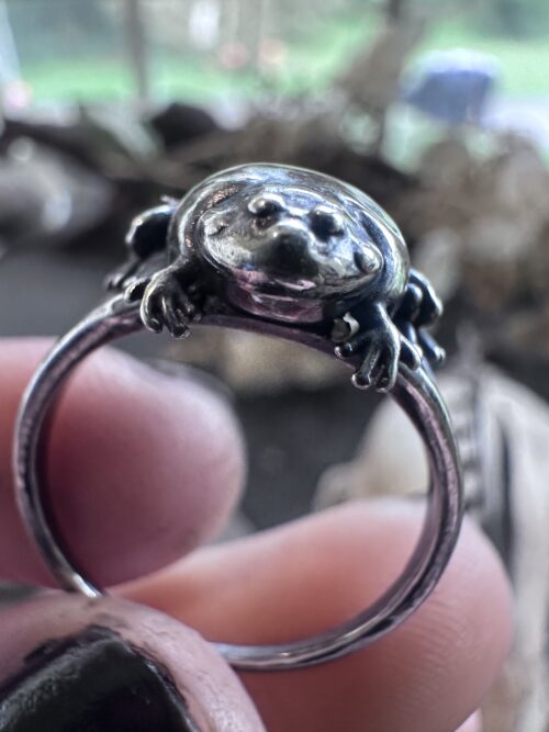 Close-up of the Budgett's frog face and tiny toes on a sterling silver ring held between fingers Close-up of the Budgett's frog face and tiny toes on a sterling silver ring held between fingers