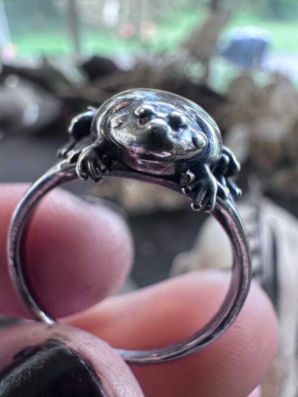 Close-up of the Budgett's frog face and tiny toes on a sterling silver ring held between fingers Close-up of the Budgett's frog face and tiny toes on a sterling silver ring held between fingers