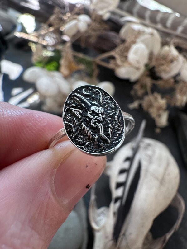 Sterling Silver Krampus Ring Gothic Christmas Jewelry Alpine Folklore Horned Demon Face with a Crescent Moon Krampusnacht Gift for Her Sterling Silver Krampus Ring