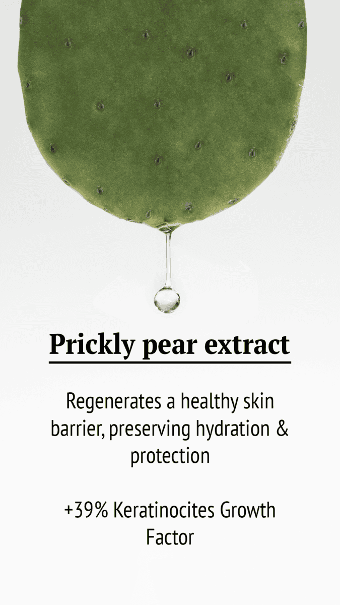 Close-up of prickly pear pad with water droplet, highlighting natural skincare ingredient.