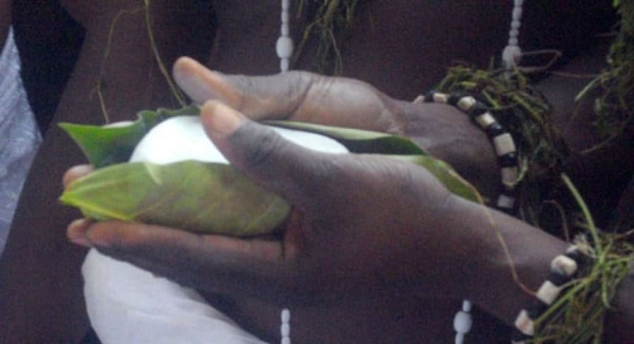 Main tenant un lotus sacré lors d'une cérémonie culturelle togolaise.