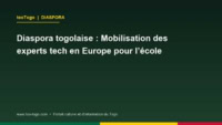 Des membres de la diaspora togolaise réunis lors d'une séance de travail sur l'innovation éducative au Togo.
