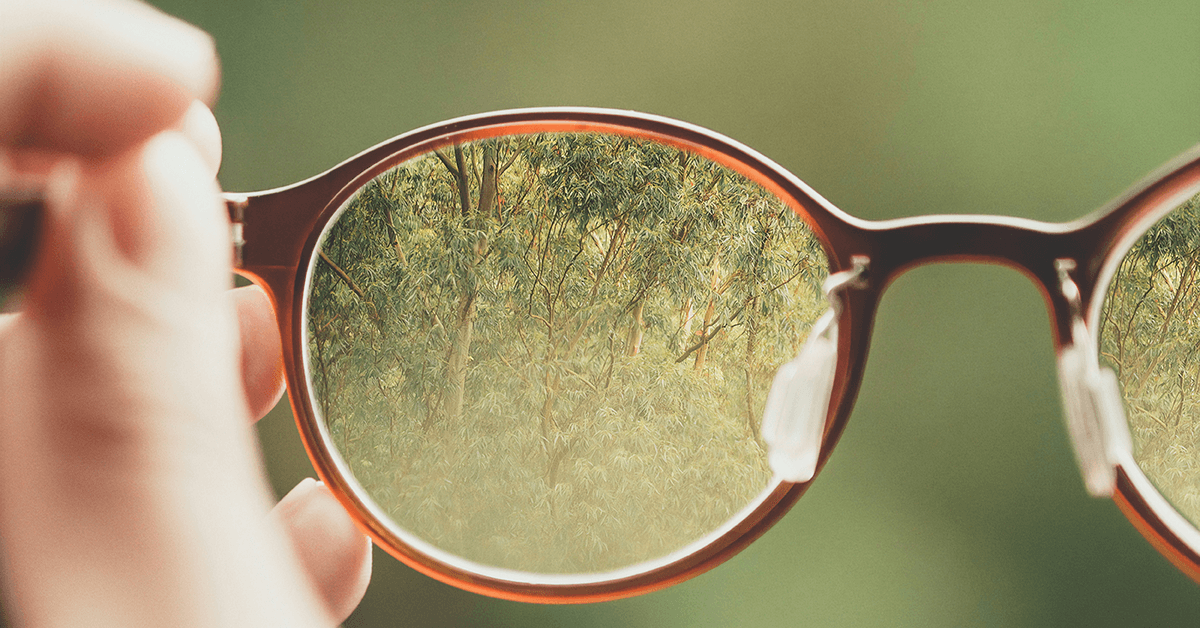 Retinal imaging scan used to monitor macular degeneration during an eye exam