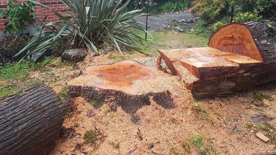 We can deal with big tree for you!