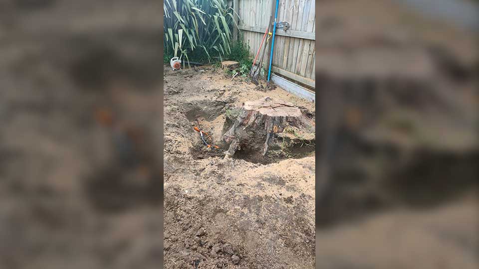 Trees and stumps in tight spaces are no problem
