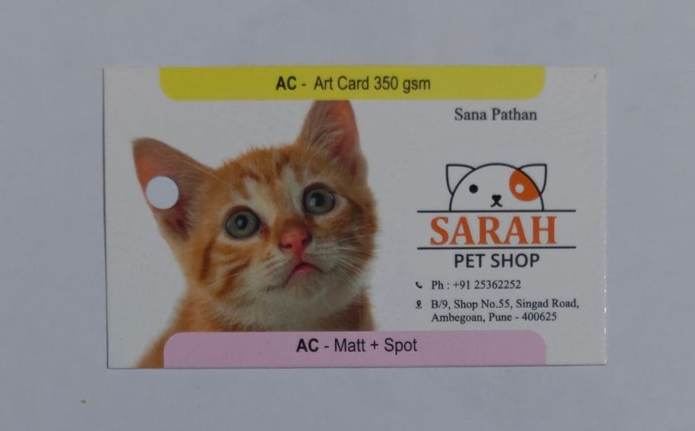 350 GSM Matte Visiting Card with Spot UV