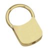 Pull Apart Lock Keychain