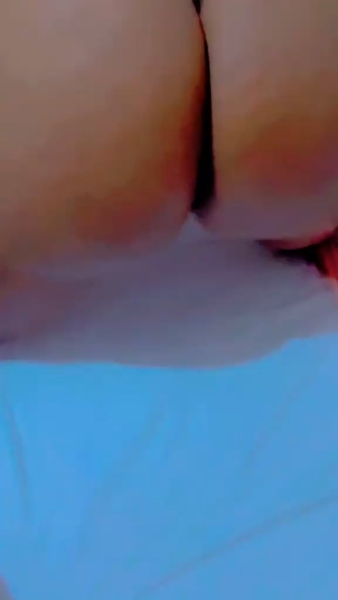 Lov
