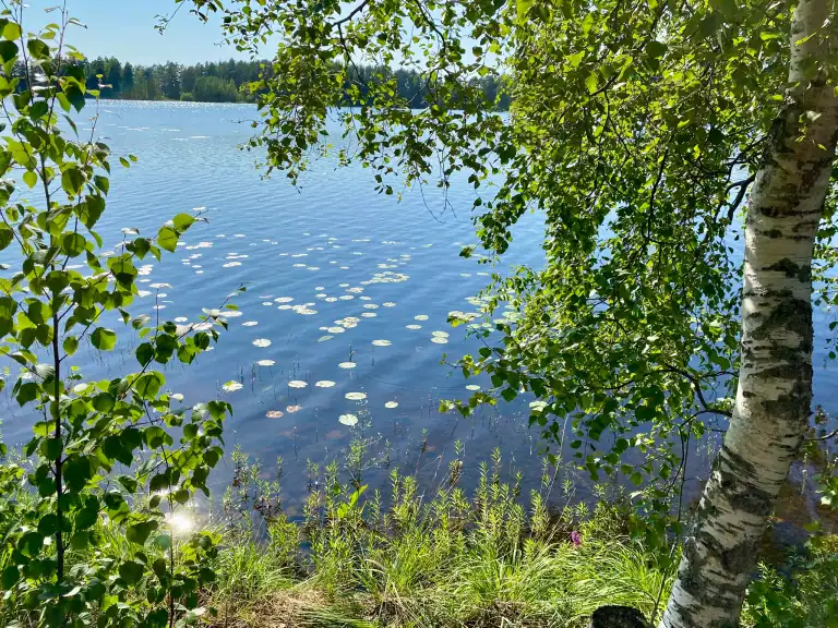 Eerikkilä Sport & Outdoor Resort – Keski-ikäinen toimistohiiri larppaa urheilijaa